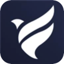 FlyingBird Logo